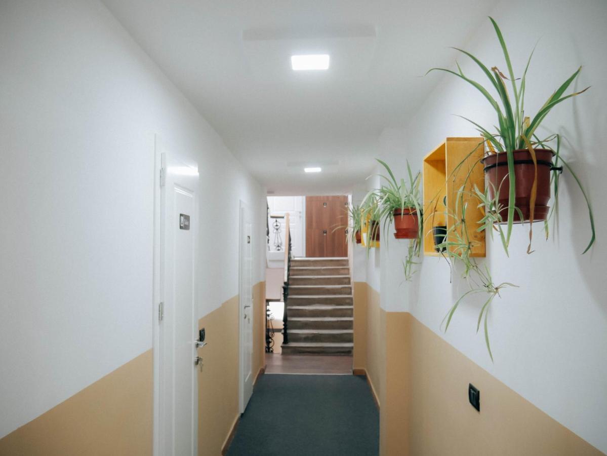 טיראנה The Maze Hostel מראה חיצוני תמונה
