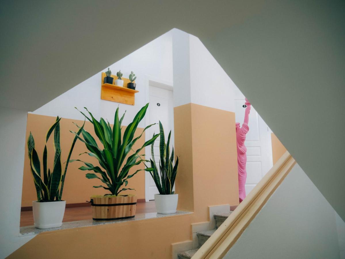 טיראנה The Maze Hostel מראה חיצוני תמונה