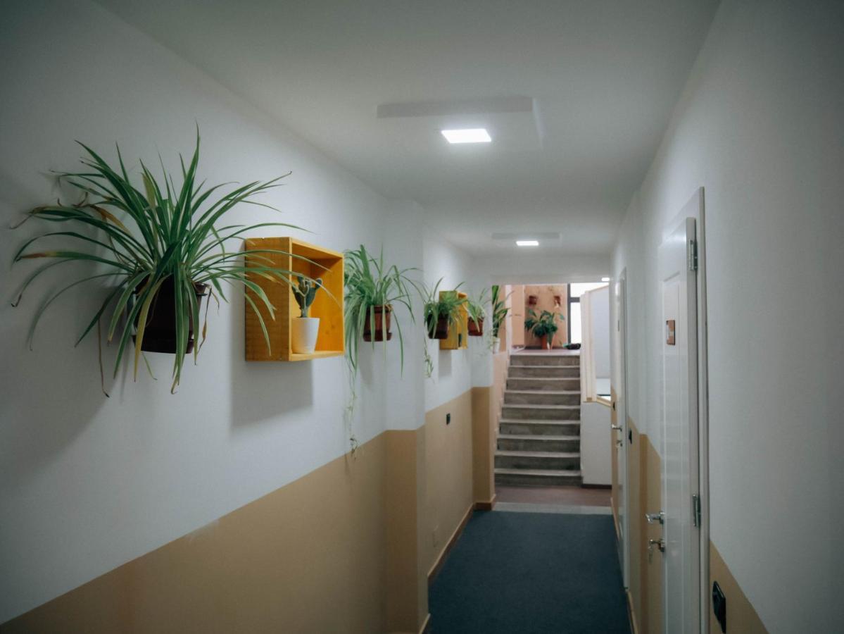 טיראנה The Maze Hostel מראה חיצוני תמונה
