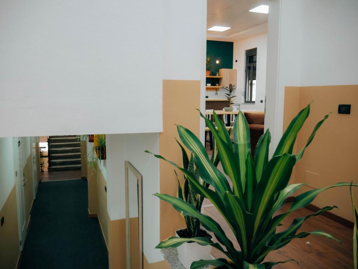טיראנה The Maze Hostel מראה חיצוני תמונה